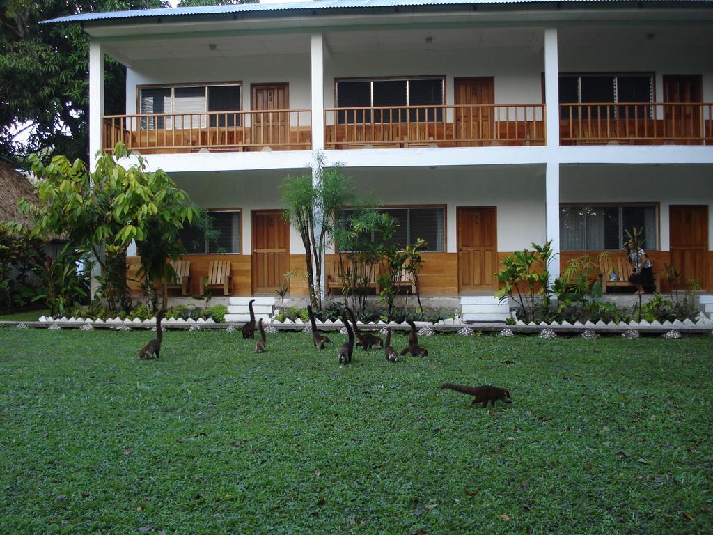 Hotel Jaguar Inn Тикаль Номер фото